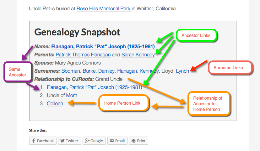Genealogy Snapshot Box Diagram
